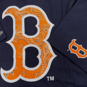 Áo Thun New Era Boston...